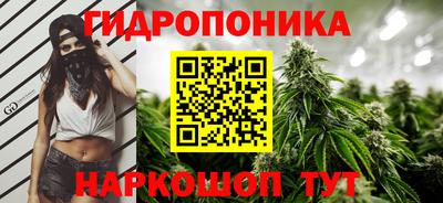 ГАЛЛЮЦИНОГЕННЫЕ ГРИБЫ Краснознаменск