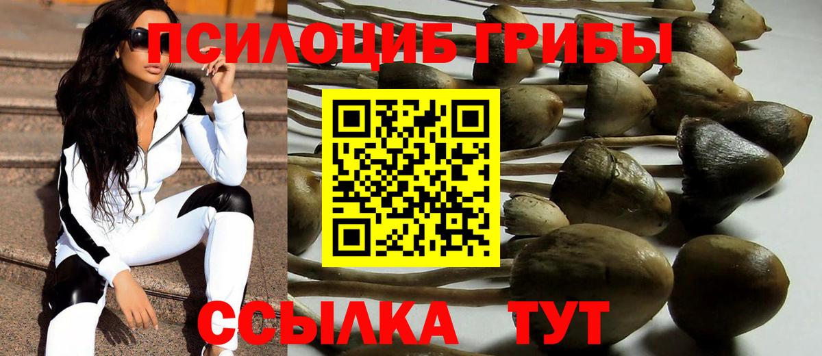Галлюциногенные грибы мицелий Чита